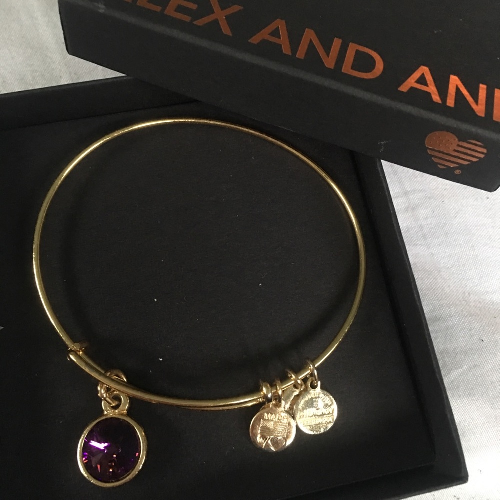 Alex and Ani February Amethyst YG